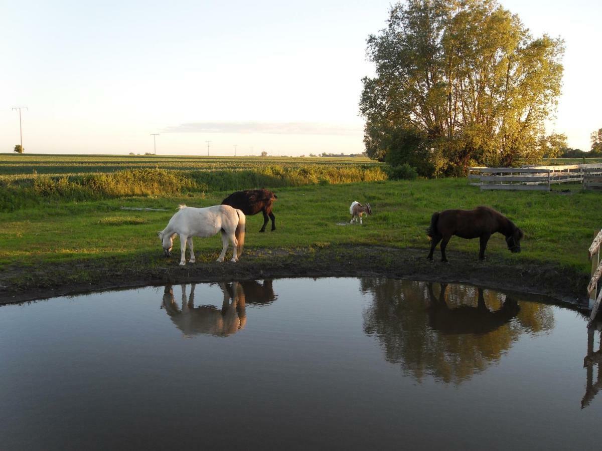 Horse Lake Ranch Neuendorf  ภายนอก รูปภาพ